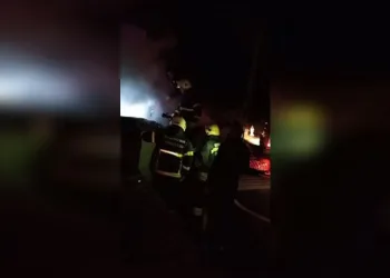 Kontrolden çıkan hafif ticari araç mısır tarlasına yuvarlandı: 5 yaralı