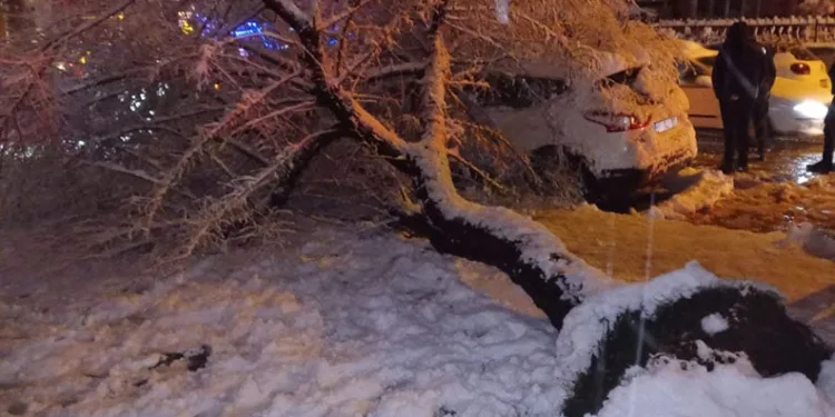 Antalya’da hortum yıkıp geçti, evler ve seralar hasar gördü