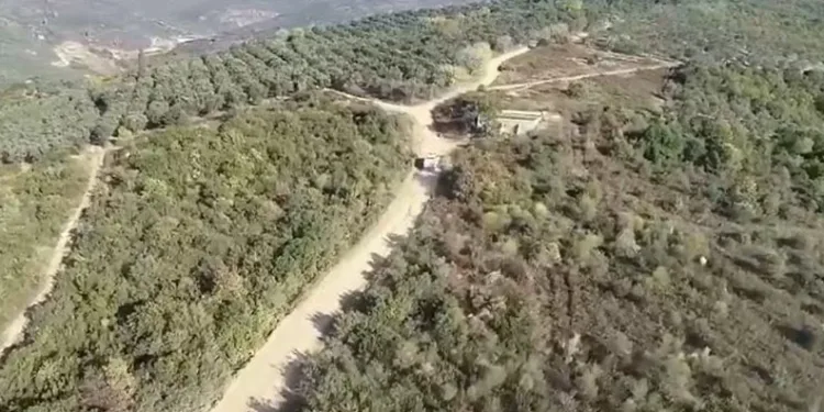 Bursa’da zeytin hırsızlarına dronlu denetim