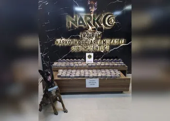 Bayburt’ta şüpheli hareketler sergileyen 2 şahısın üzerinden uyuşturucu madde çıktı