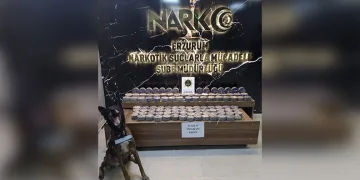 Bayburt’ta şüpheli hareketler sergileyen 2 şahısın üzerinden uyuşturucu madde çıktı