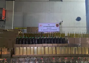 Yavru kediler varilde ölü bulundu