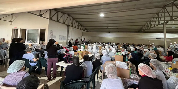 Menteşe’de orman yangını, söndürme çalışmaları sürüyor