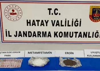 Ormanlık alanda yıldırım düşmesi sonucu çıkan yangın söndürüldü