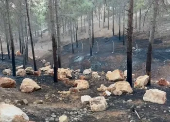 Düğün konvoyunda kaza: 4 yaralı