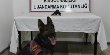 Tavşanlı’da dolmuş şoförlerinden ‘Taşlanıyoruz’ iddiası