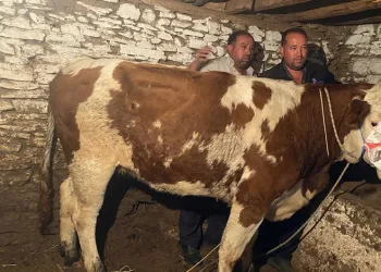 Esenyurt’ta sağlık malzemeleri üreten fabrikanın deposunda korkutan yangın