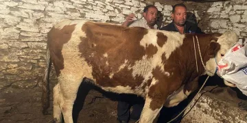Esenyurt’ta sağlık malzemeleri üreten fabrikanın deposunda korkutan yangın