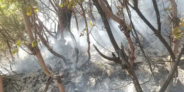 Ormanlık alanda yıldırım düşmesi sonucu çıkan yangın söndürüldü