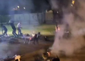 Bursa’da seyyar balıkçılardan zabıtaya sandalyeli saldırı
