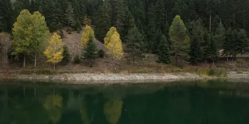 Sinop’ta doğanın renk cümbüşü mest etti