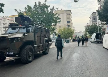 Yavru kediler varilde ölü bulundu