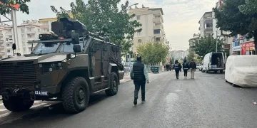 Yavru kediler varilde ölü bulundu