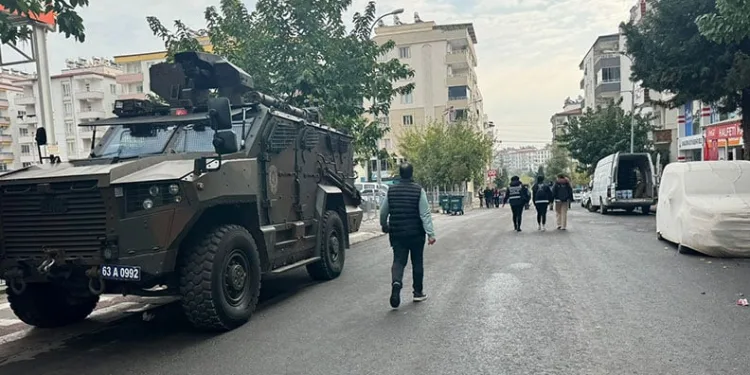 Yavru kediler varilde ölü bulundu