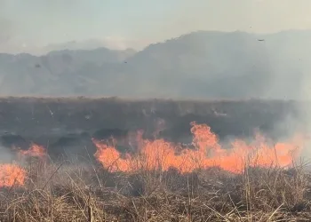 Van merkezli medyum operasyonu: 15 gözaltı
