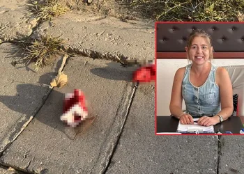 Cinnet geçiren genç annesini öldürdü, 4 kişiyi yaraladı