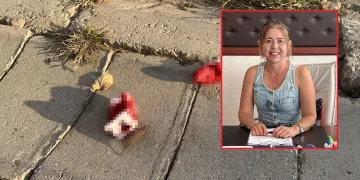 Cinnet geçiren genç annesini öldürdü, 4 kişiyi yaraladı