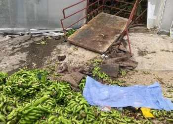 Takla atan otomobilinin kapıları zarar görmesin diye vinç getirtti