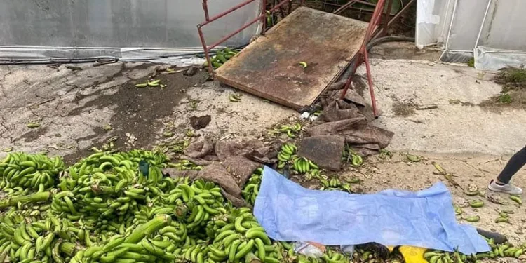 Takla atan otomobilinin kapıları zarar görmesin diye vinç getirtti