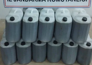 Menteşe’de orman yangını, söndürme çalışmaları sürüyor
