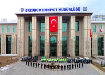 Yavru kediler varilde ölü bulundu