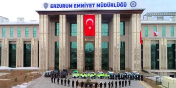 Yavru kediler varilde ölü bulundu