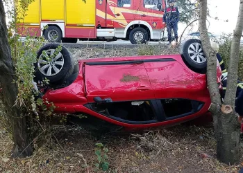 Kadıköy’de 1 ton kaçak midye ele geçirildi