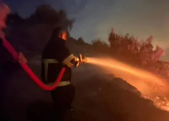 Tekirdağ merkezli dev kaçakçılık operasyonu