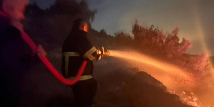 Tekirdağ merkezli dev kaçakçılık operasyonu
