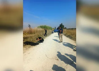 Menteşe’de orman yangını, söndürme çalışmaları sürüyor