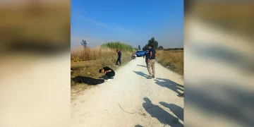 Menteşe’de orman yangını, söndürme çalışmaları sürüyor