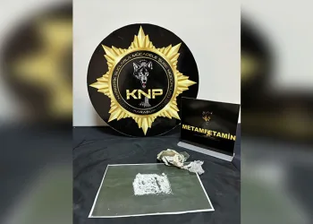 Uyuşturucu ticareti yapan 2 kişi jandarma ekiplerince yakalandı