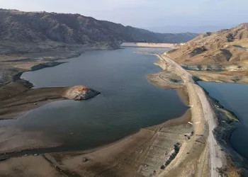 Diyarbakır’da E-MTSK sınav şebekesine ‘Cımbız’ operasyonu: 3 tutuklama