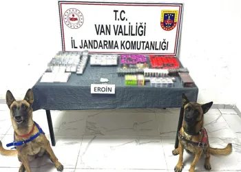 Araçların hurdaya döndüğü kazada 5 kişi yaralandı