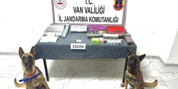 Araçların hurdaya döndüğü kazada 5 kişi yaralandı