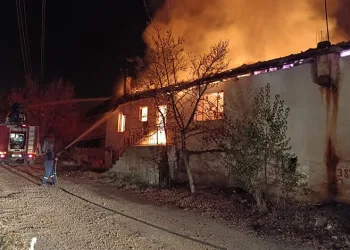 Denizdeki hayvan leşi Sahil Güvenliği alarma geçirdi