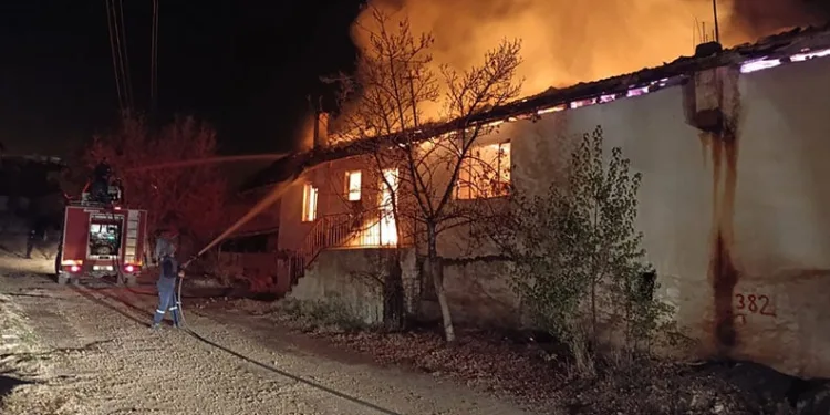 Denizdeki hayvan leşi Sahil Güvenliği alarma geçirdi