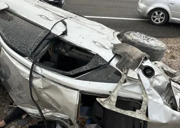 Ormanlık alanda yıldırım düşmesi sonucu çıkan yangın söndürüldü