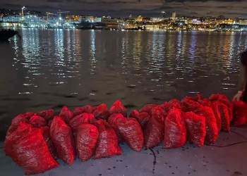 Kadıköy’de 1 ton kaçak midye ele geçirildi