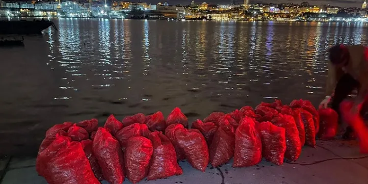 Kadıköy’de 1 ton kaçak midye ele geçirildi