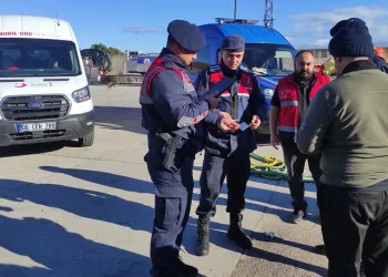 Düzensiz göçmen denetimi