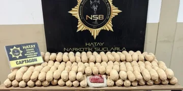 Dubai’ye giden patates çuvalları içinde binlerce uyuşturucu hap ele geçirildi