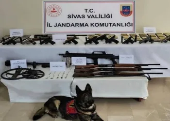 Jandarma operasyonunda 12 kişi gözaltına alındı
