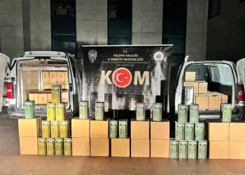 3 bin 995 litre sahte zeytinyağı ele geçirildi