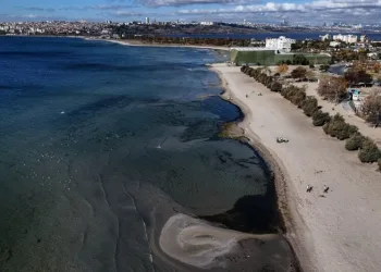 Osmangazi Belediyesi’nden üniversitelilere akademik destek