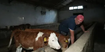 İkiz kardeşler Şota ve Arçil’in ismini koydu