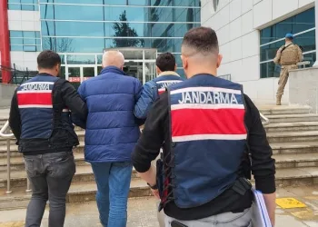 Terör örgütü PKK/KCK operasyonu: 1 gözaltı