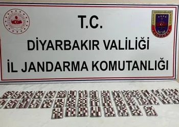 584 adet uyuşturucu hapla yakalanan zanlı tutuklandı