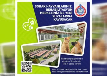 Sokak hayvanlarına yeni yuva geliyor