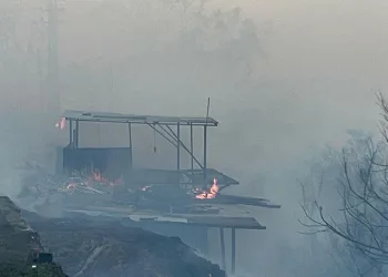 Hatay’da orman yangını evlere sıçradı